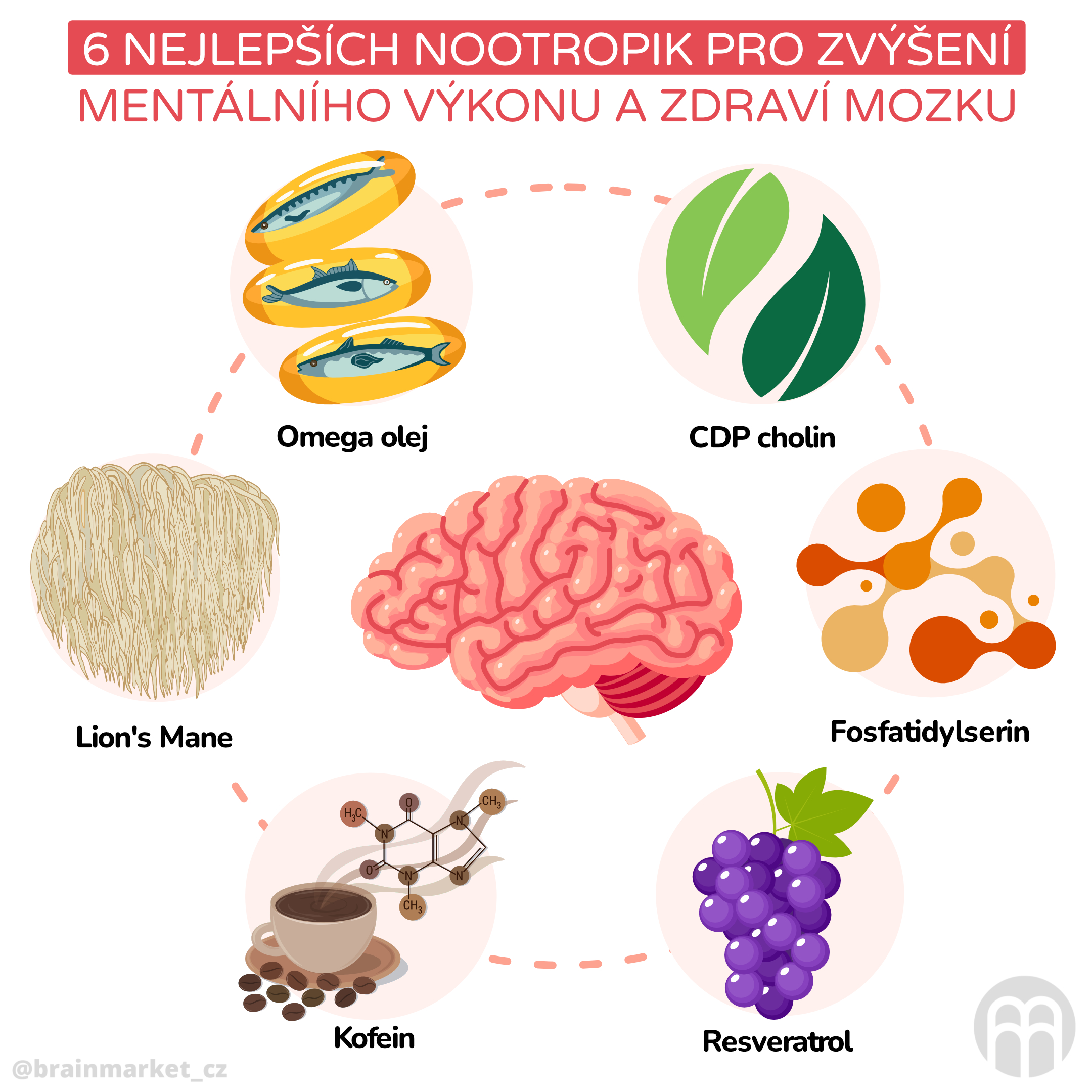 6 nejlepších nootropik pro zvýšení mentálního výkonu a zdraví mozku_inforgafika_cz